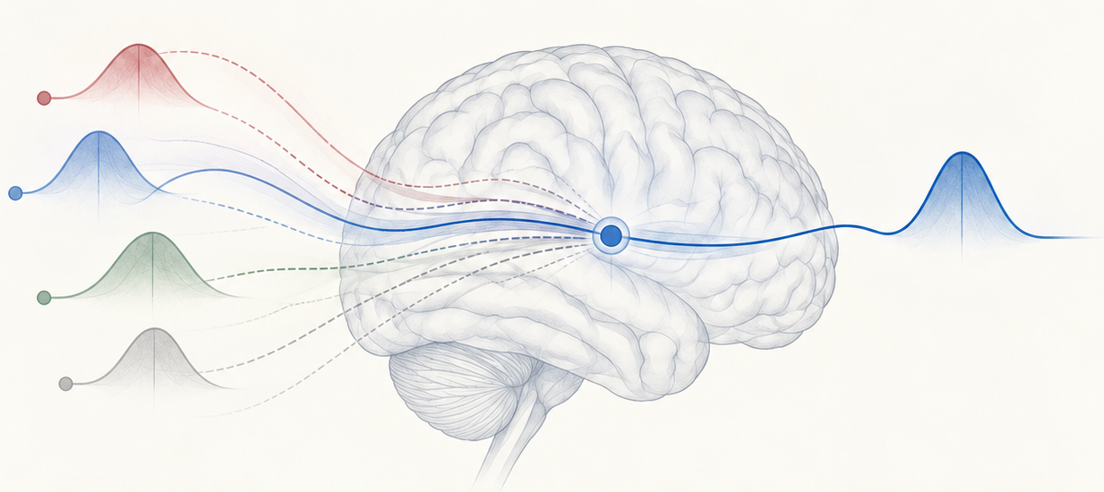 Illustration for interference, attention & memory control